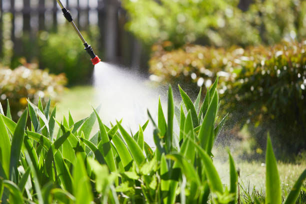 24/7 Emergency Mosquito Control experts in South Salt Lake, UT
