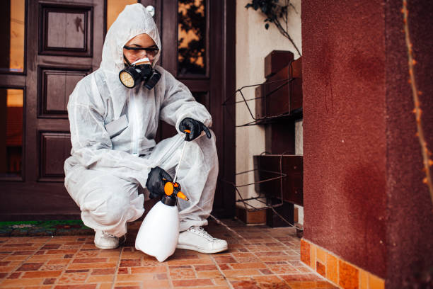 Reliable Mosquito Control contractor in South Salt Lake, UT by Nex Pest Control