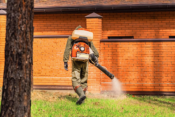 Trusted Emergency Pest Control service in South Salt Lake, UT - Nex Pest Control